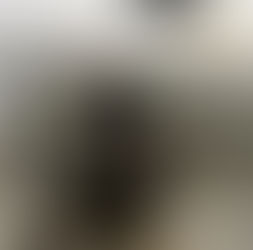 Equipes do Canil e ROMU, da GCM, apreendem grande quantidade de drogas em área de mata no Caetetuba