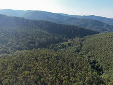 Em força-tarefa, Prefeitura de Jundiaí e Corpo de Bombeiros controlam incêndio na Serra do Japi