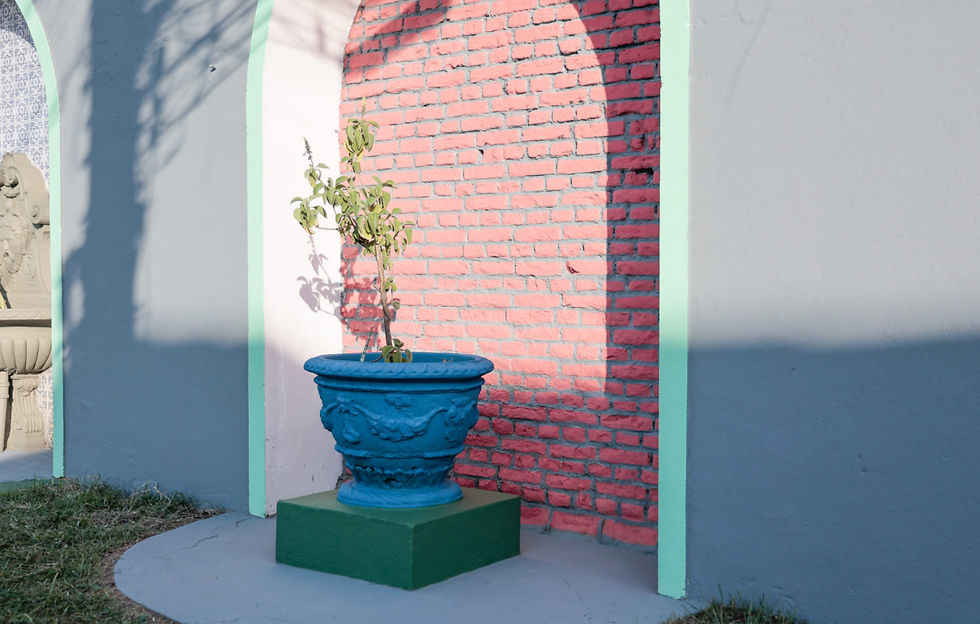 “Estamos realizando um trabalho criterioso de restauro, respeitando as características históricas do local”, Marcos Galdino, gestor da UGISP