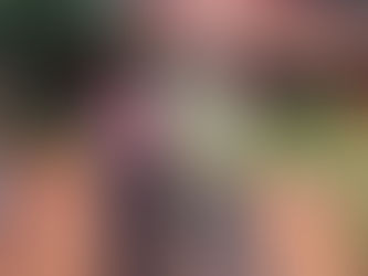 Equipes vacinam casa a casa neste sábado (8) contra a febre amarela nas regiões do Caxambu e Ivoturucaia