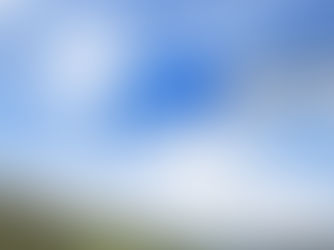 Carnaval deve movimentar mais de 1 milhão de veículos no Corredor Dom Pedro