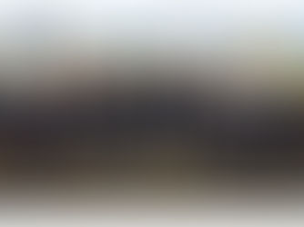 Canil da Guarda Municipal de Jundiaí conquista título nacional em campeonato de cães de polícia