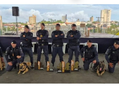 Canil da Guarda Municipal de Jundiaí conquista título nacional em campeonato de cães de polícia