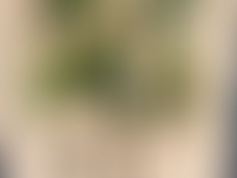 Will’s cigarettes ‘Ringing’