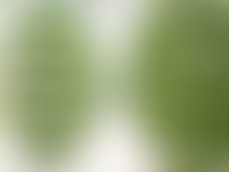 Hydroponics Aquaponics and Vertical Farming