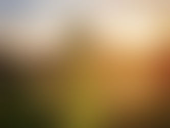 The natural complexity of nature