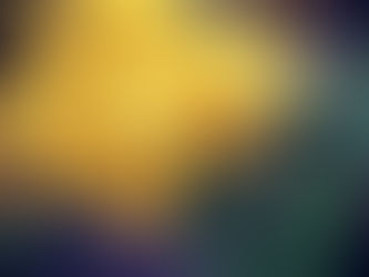 Tomatoes and Solanaceae 