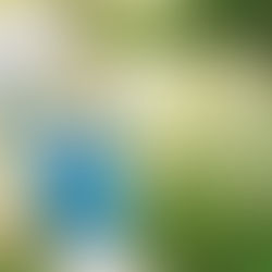 Smurfette to find love in FOREVER SMURFETTE from PAPERCUTZ