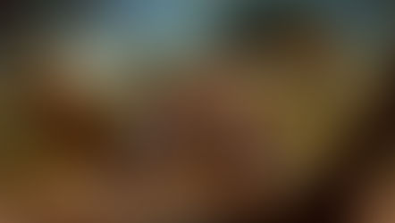 DARK HORSE DIRECT to drop a LOTR Animated Film Figure Set this FALL