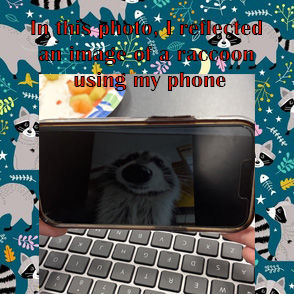 trash panda reflection.jpg