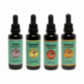 Cordyceps, Lion’s Mane, Reishi & Turkey Tail Mushroom Extract Bundle – 4 Bottle