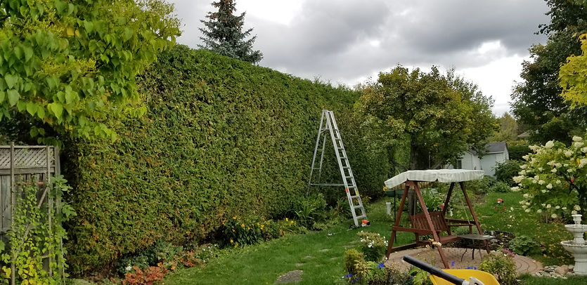 20190924_135652.jpg