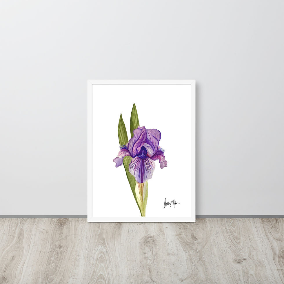 Thumbnail: Iris - Large Watercolor Framed Poster Art Print for Wall and Home Décor