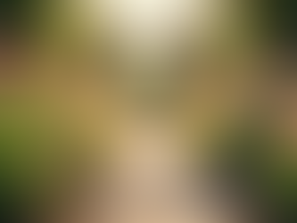 Effective Practices for Letting Go: Embracing Freedom and Healing