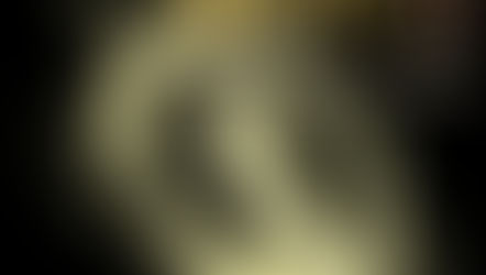 第6回京都参禅会のお知らせ