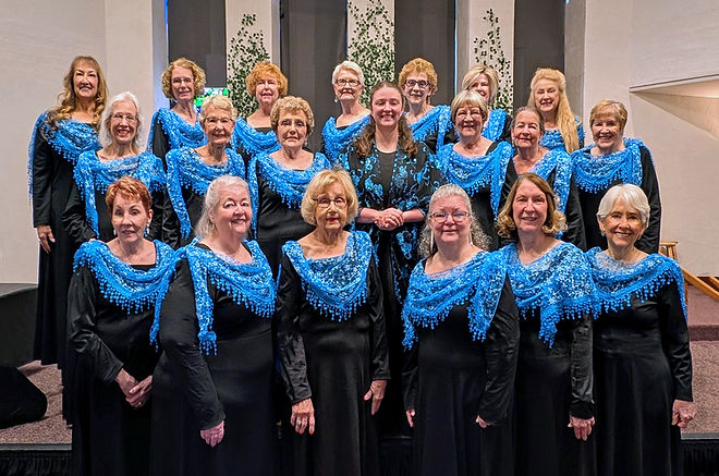 Sonoran Sounds 25 blue perspective1.jpg