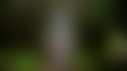 Sensibiliser les Enfants à l'Écologie 🌍