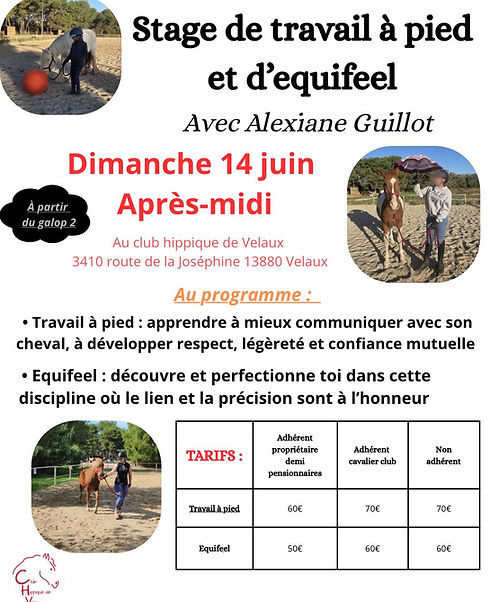 20260614-ALEXIANE TAP EQUIFEEL.jpg