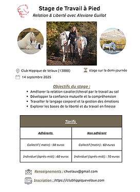 Votre texte de paragraphe (1).png
