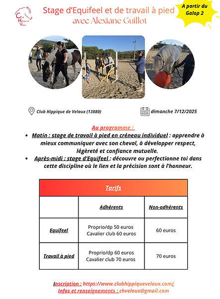 WhatsApp Image 2025-11-07 at 10.06.54.jpeg