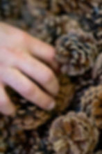 LaBBOdega 11-23-34.jpg