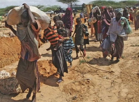EMERGENCIA ALIMENTARIA EN ÁFRICA, PONE EN ALERTA AL MUNDO.