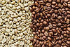 raw-green-and-roasted-coffee-beans-texture-backgro-2025-02-12-07-35-42-utc.jpg