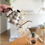 Miniatura: CHALEIRA BICO FINO INOX CHÁ LEITE CAFÉ 1L PESCOÇO DE GANSO