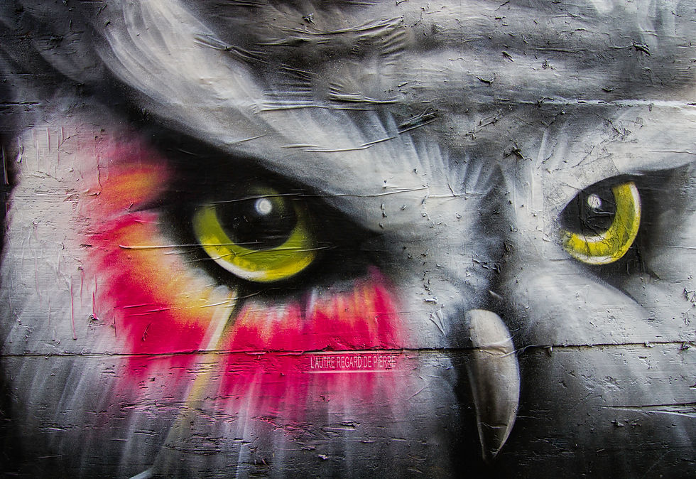 Regard de hibou rue des Chaussetiers