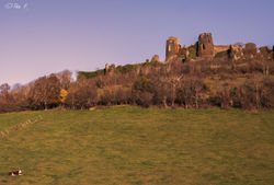 La vache et le prisonnier