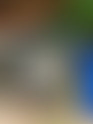 Social action project: Garden for good