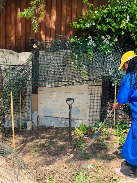 Social action project: Garden for good