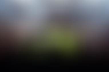 Bergblick in European Football Championship fever