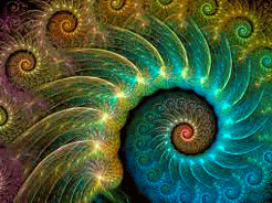 caracol4 (2)-ANIMATION.gif