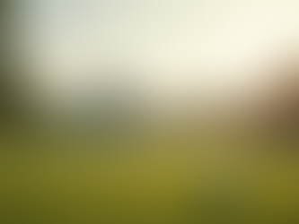 Maximize Golf Business Growth with AI and UX-Driven Lead Generation Strategies