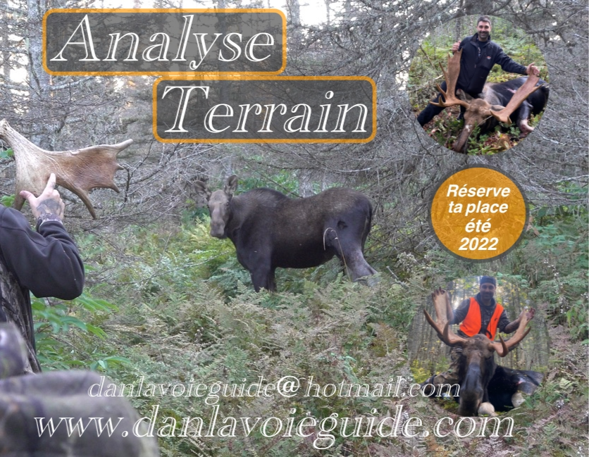 Analyse-terrain-Danlavoie02