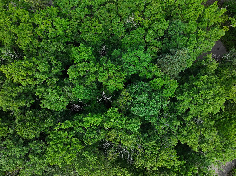 DJI_20240629002309_0021_D.jpg