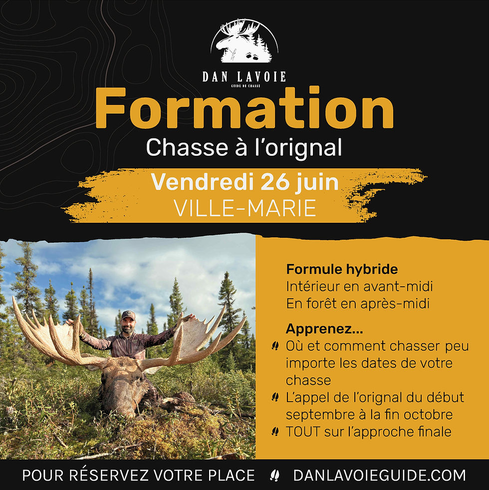Formation terrain - Ville-Marie (ECOTONE)