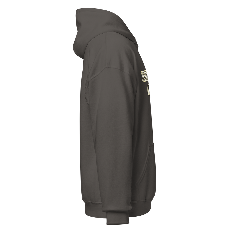 Thumbnail: 313VATION APPAREL-Est2023_Unisex Hoodie_NSU Colorway 