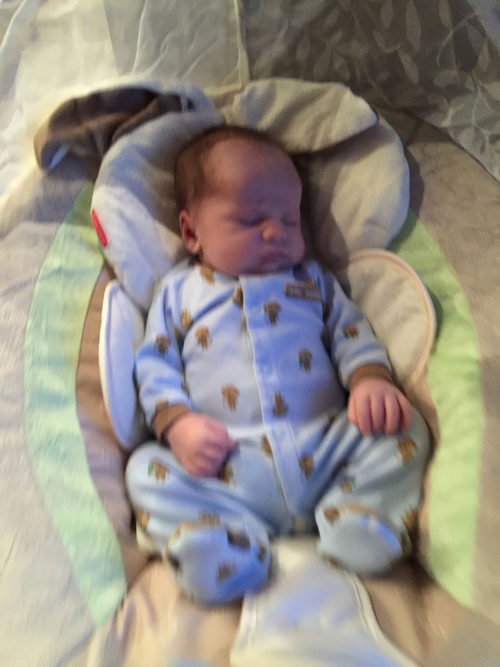 20150131_225853379_iOS.jpg