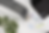 DSC_0007_small.png