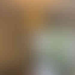 A single penant hanging light for our clients dining area