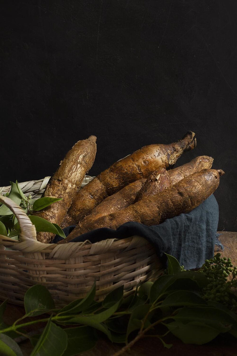 cassava root compressed