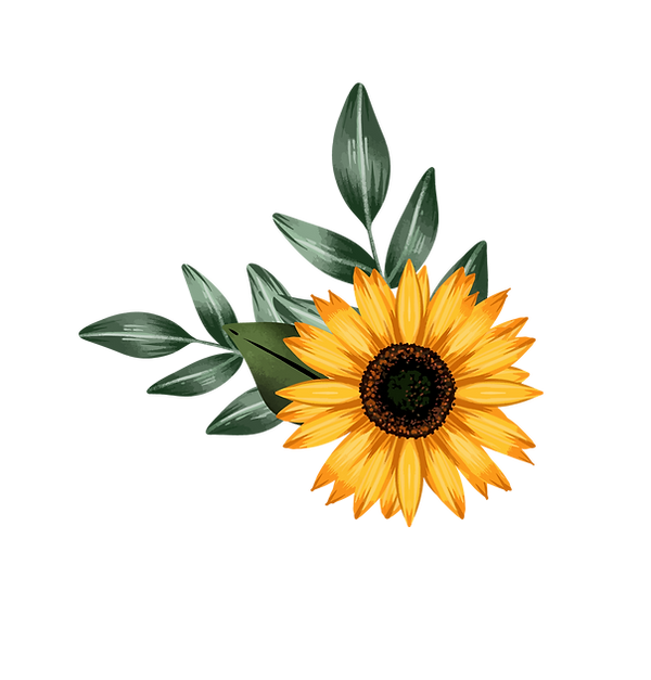 6595877-02.png