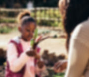 AdobeStock_177119261.jpeg