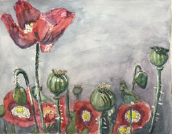 Attack of the Poppies