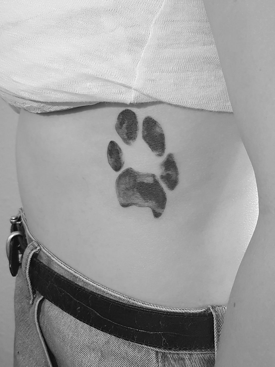 Hunde Pfote Abdruck SW