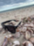Black Sunglasses with OYG (Own Your Game) Logo