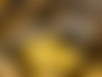 PIV (Positive Input Ventilation)