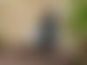 Offering Radon System servicing: